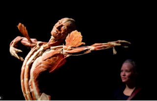 Von Hagens wollte nach seinem Tod selbst zum Plastinat werden.